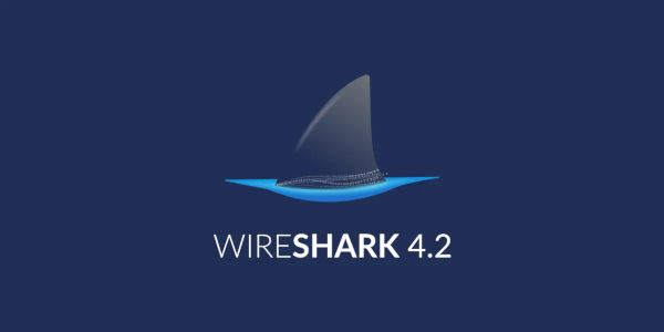 wireshark 4.2